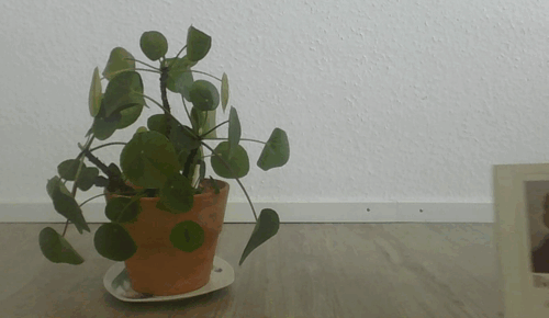 Building a Face Detector with OpenCV in C++