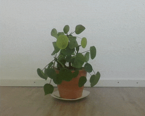 Captured camera image